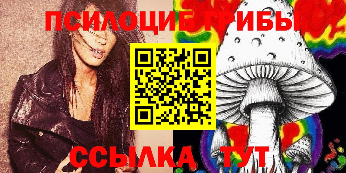 Псилоцибиновые грибы мицелий Зеленокумск