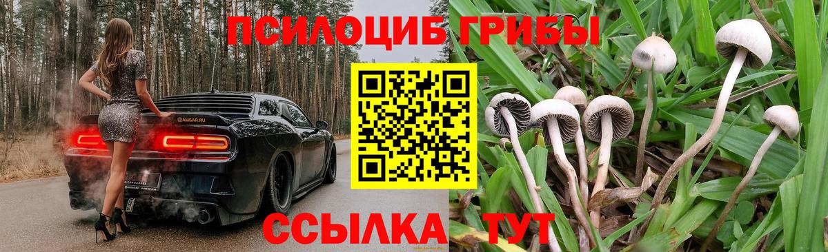 Псилоцибиновые грибы мухоморы  Псилоцибиновые грибы Magic Shrooms  Зеленокумск  Вход с VPN 